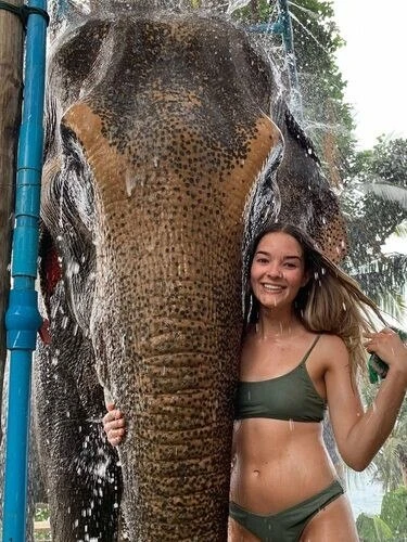 Miss Indi Profile image 1